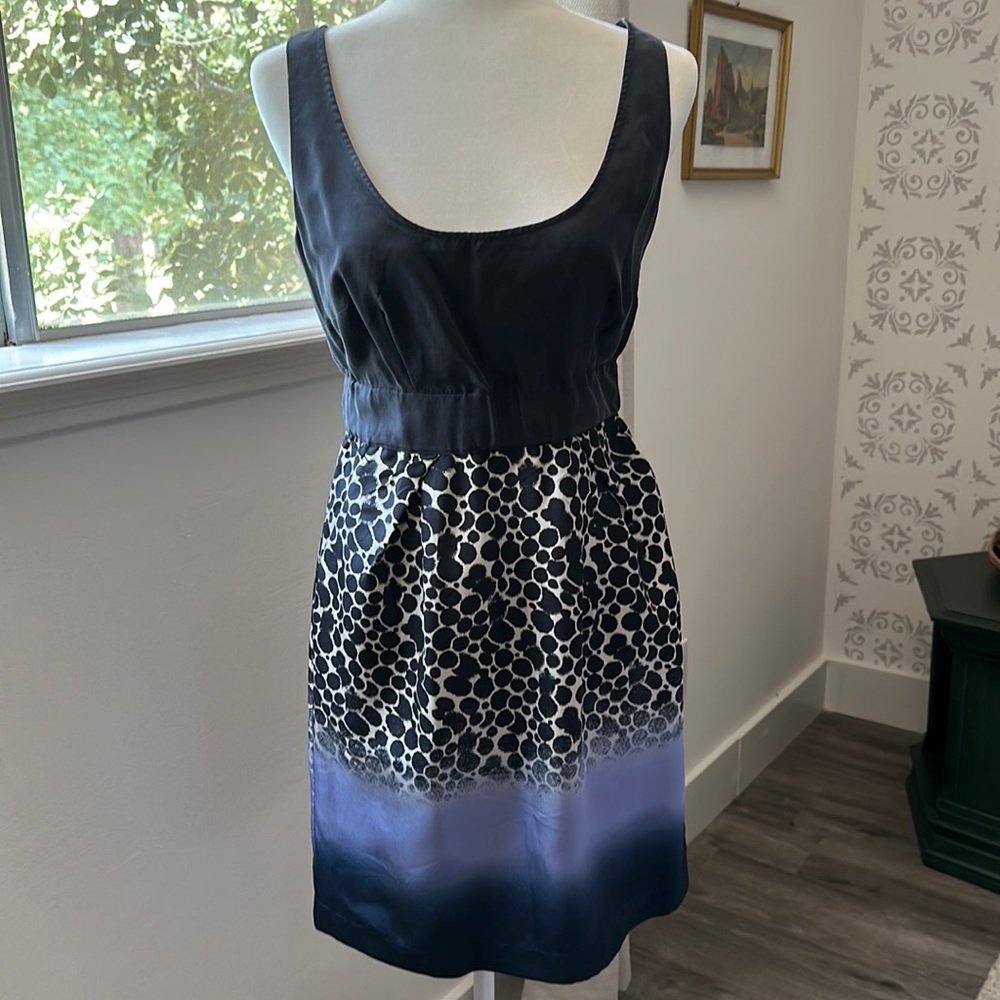 Anthropologie Silk Dress